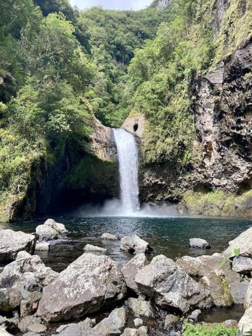Maison A Bourg- Murat Proche De La Cite Du Volcan ラ・プレンヌ・デ・カフル エクステリア 写真