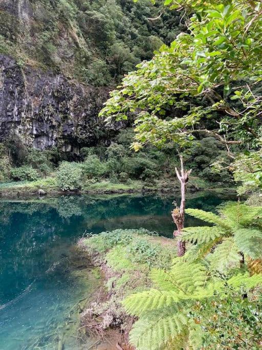 Maison A Bourg- Murat Proche De La Cite Du Volcan ラ・プレンヌ・デ・カフル エクステリア 写真